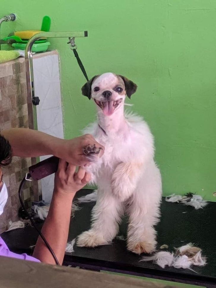 1bbb885ac2897e4eca8b8728b8