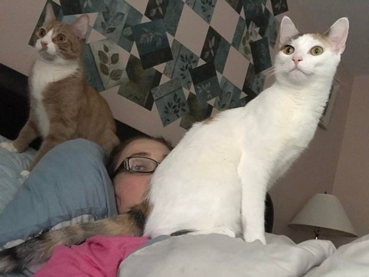 1bcb4e5088a5d6a67c901d509c