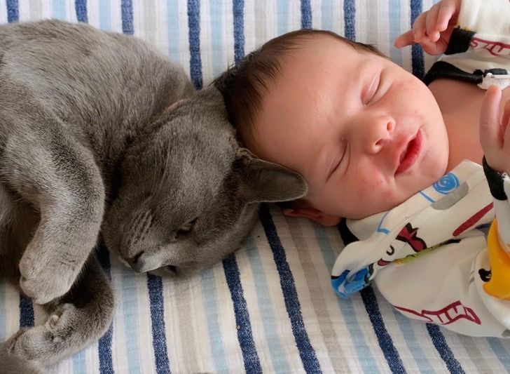 1bd09e55b4917078949795da46