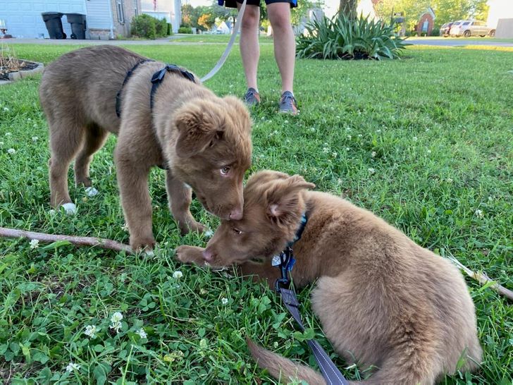 1bd5385933b911f1eb7af0d345