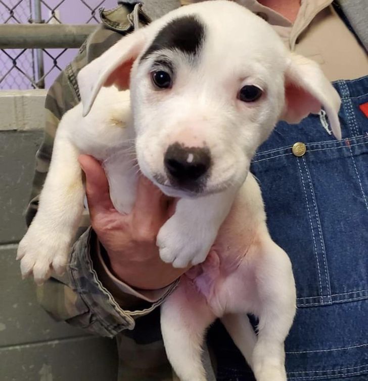 1bd65a5abea5533adb89b936f9