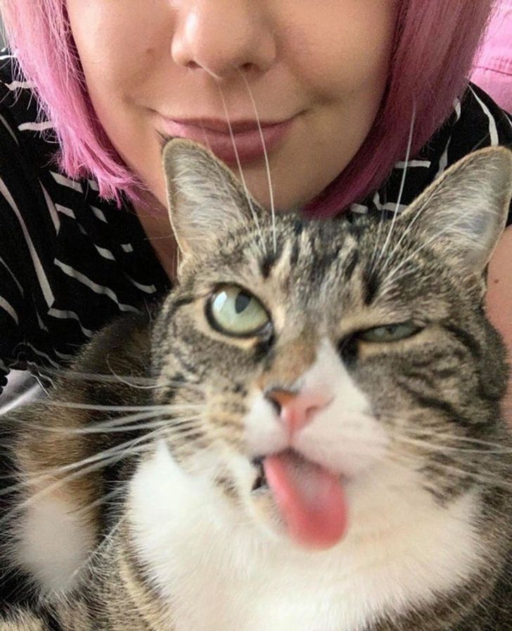 1bda6f5fc0a4401fe22e199e98