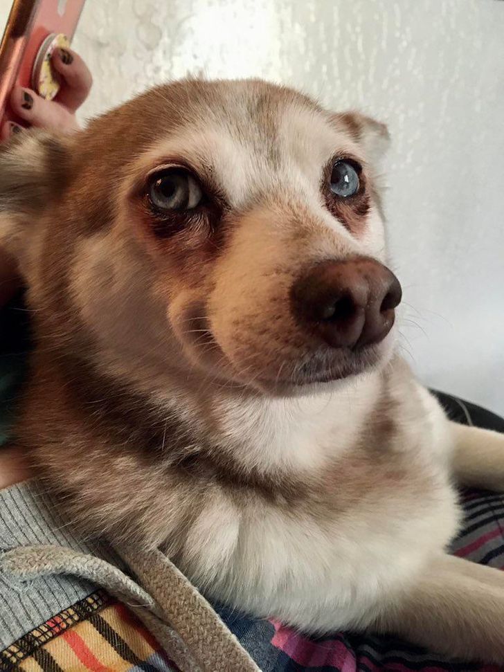 1bdaed559b9b2e74a78ea71670