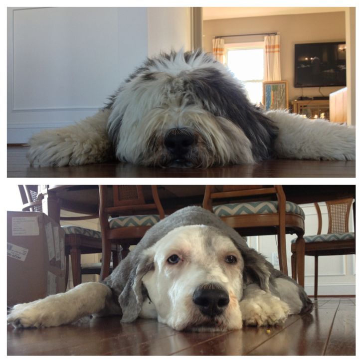 1be30355f0aaa96f3827c6de76