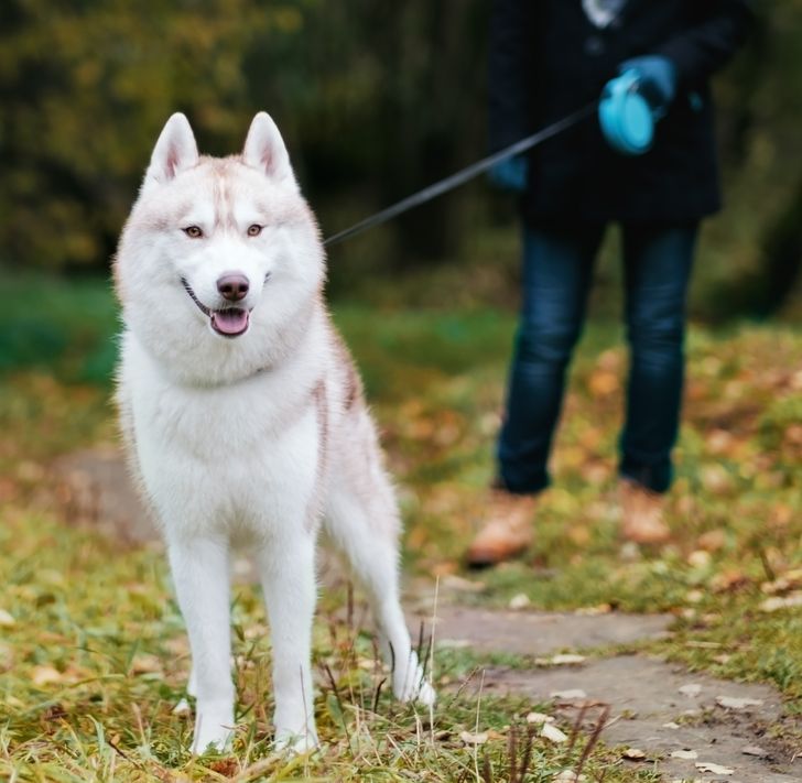 1be5d85c1d95d777774602413f