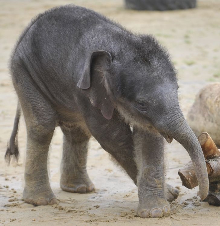 1be6585a1cb1338e2ac3892aa4