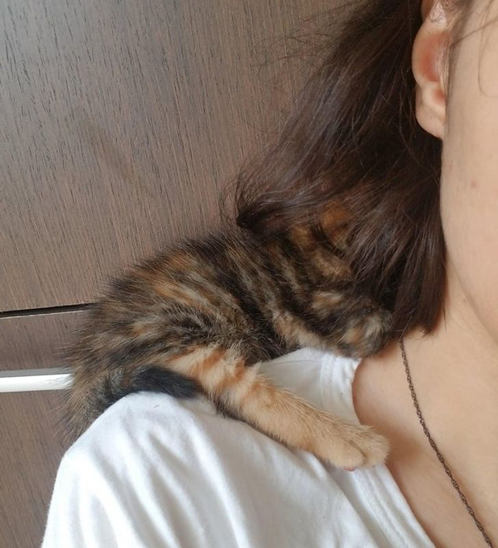 1bec1453a7876218dc5251350f