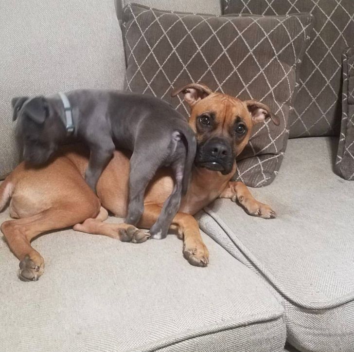 1bf1095eb0af7dab9a13178daf