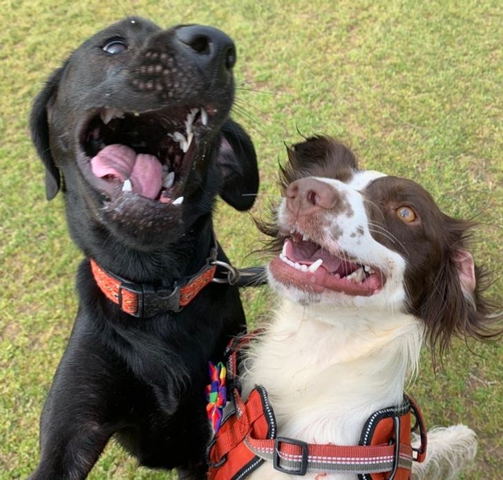 1bf58d55059a2689efb5806fe4