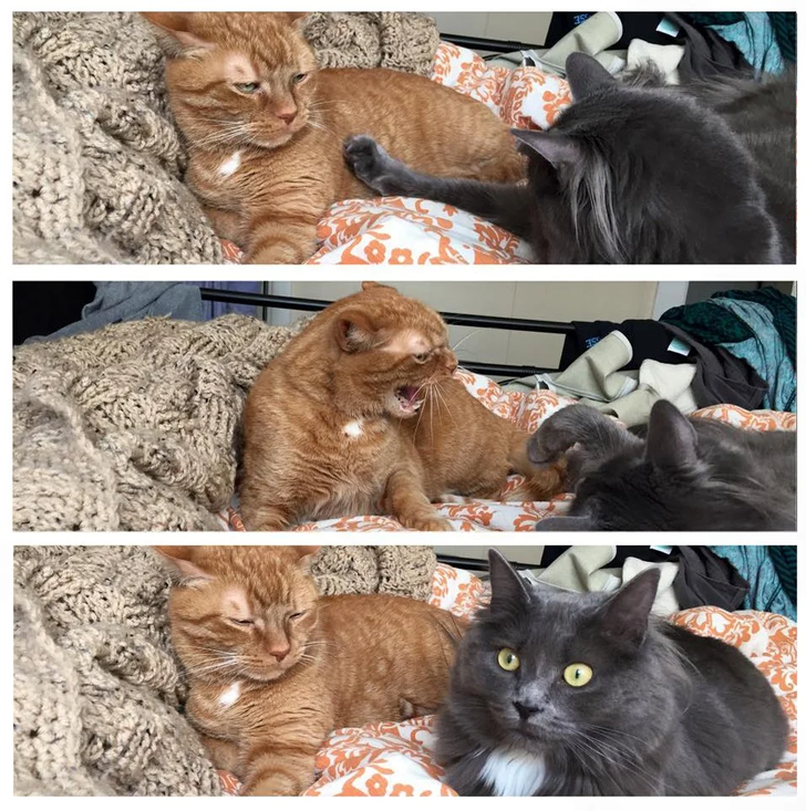 1bf68251aea85e7b030f190734