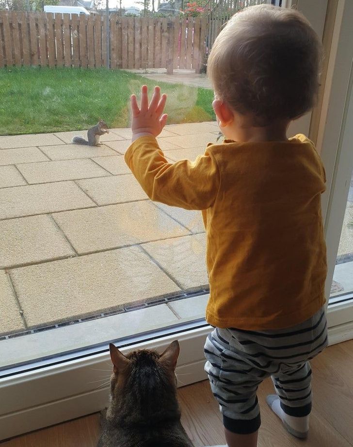 1bf77059aaa32167f9c115c265