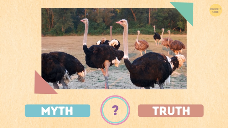 1bf8d05245b55d37b8c3d60471