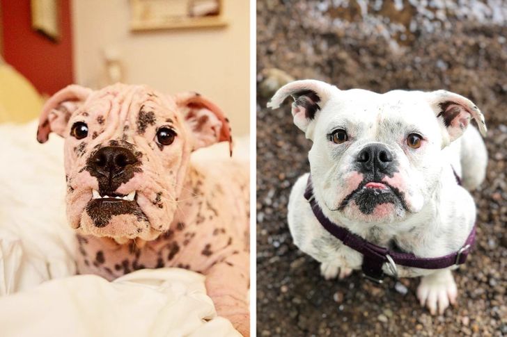 1bfd76571a865861ed3b9137ac