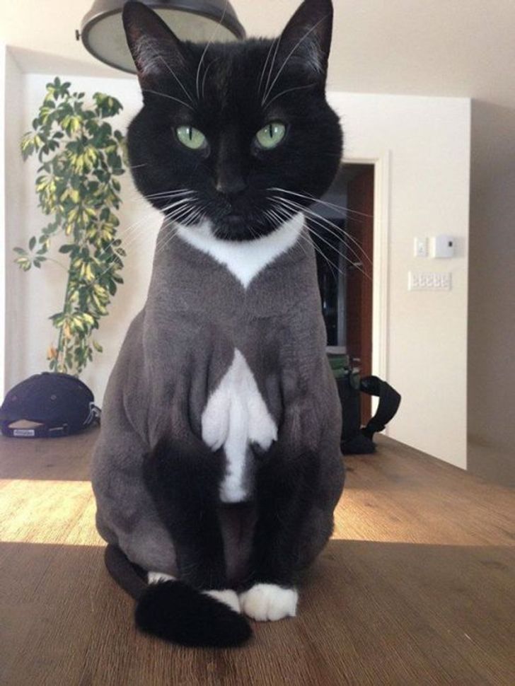 1c012d5a4ea7d53431c868eabd