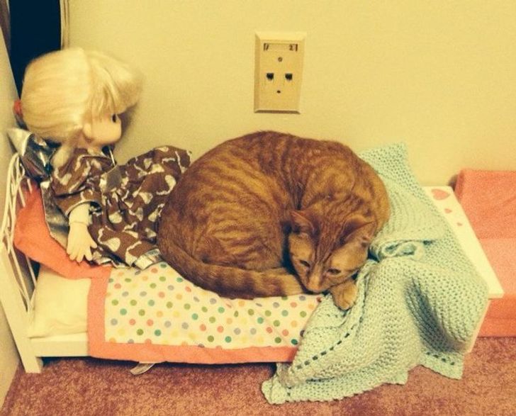 1c07735c3495de2e95b0888d65 1c07735c3495de2e95b0888d65