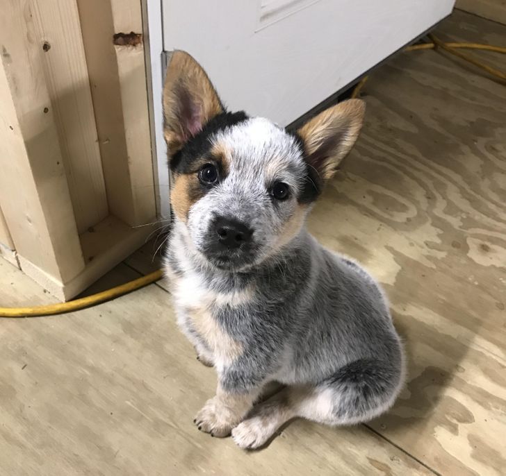 1c10175502a3ff342acdcce17e