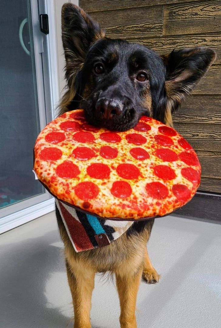 1c19095de9ab860d1c8ab997f6