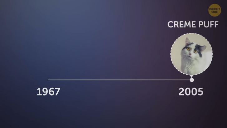 1c1b475e65b9a403bfa51c3bd4