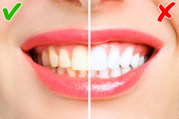 1c1ebe58aaae95120ec16fdc45