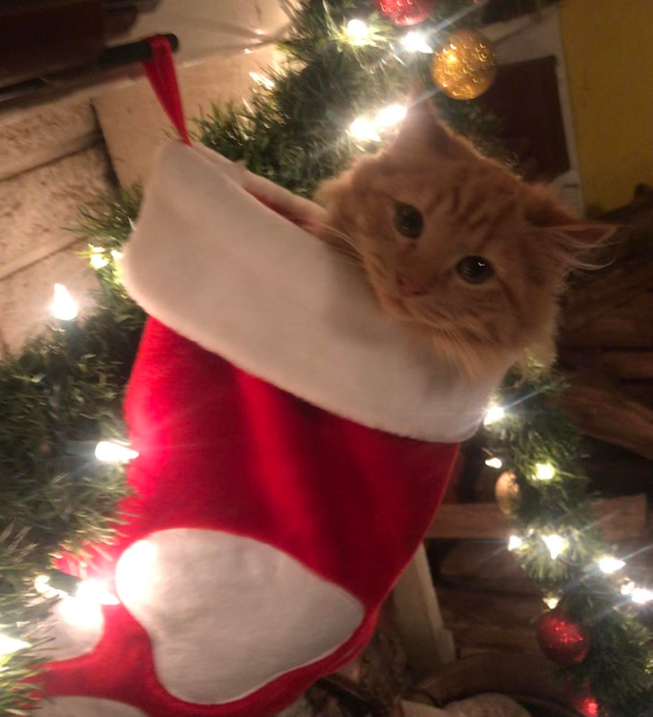 1c24435d279478bfe807f59640