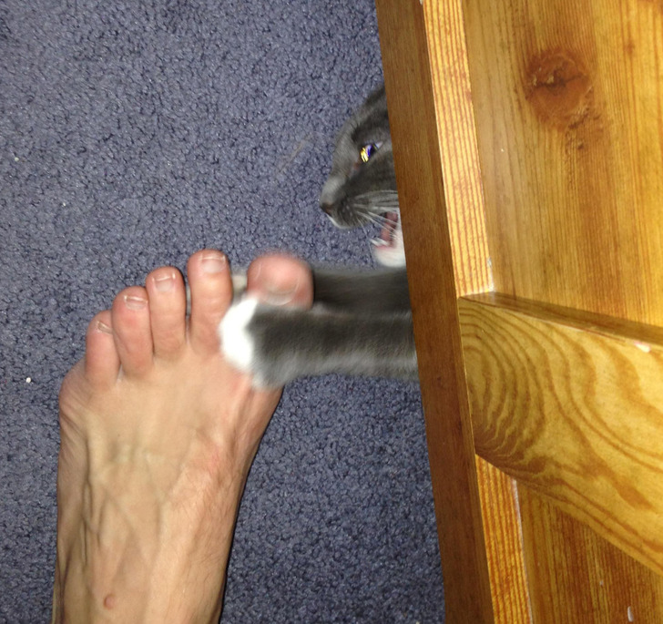 1c29b45c72999eb509338c54ee