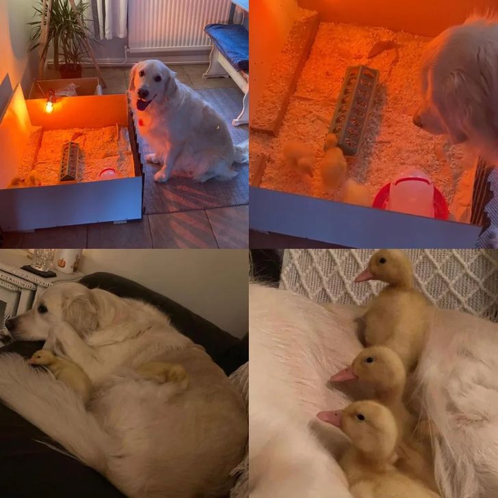 1c35fe52008bd92642f0edd9c7