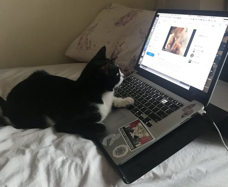 1c3cc051149de5537d9c00db98