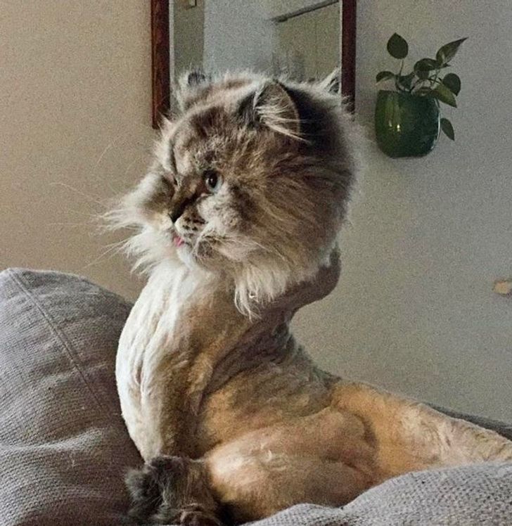 1c3df65543ac8a66eecc67c5dc