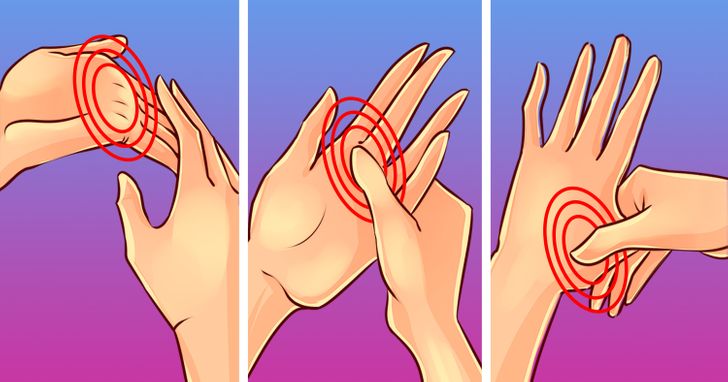 1c586d5a0bb76bf85425d82669