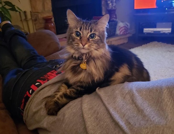 1c5dc5583ea77e7ae06c2ee051