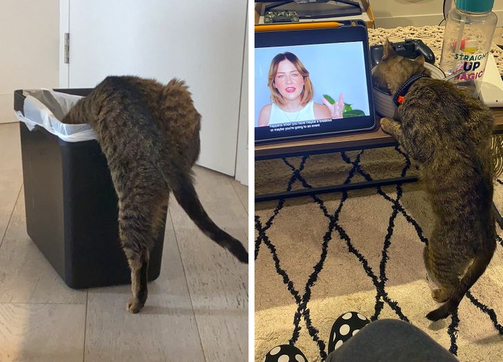 1c605a5c04b03d5c47dbe3ce8a