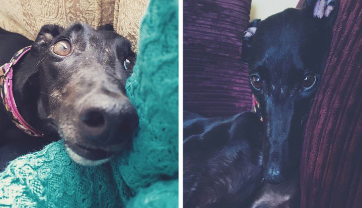 1c616b5b858883af9faf0b8df0