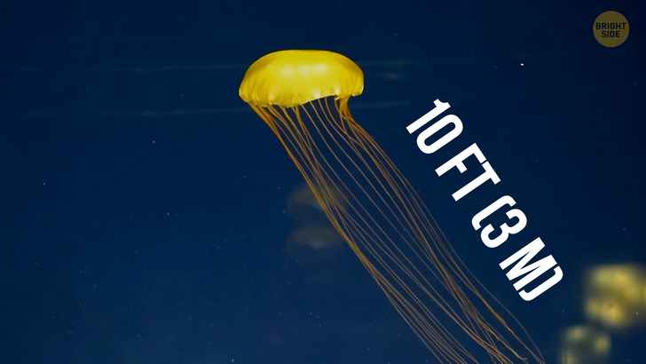 1c635a50afac4f236046cd41ab 1c635a50afac4f236046cd41ab