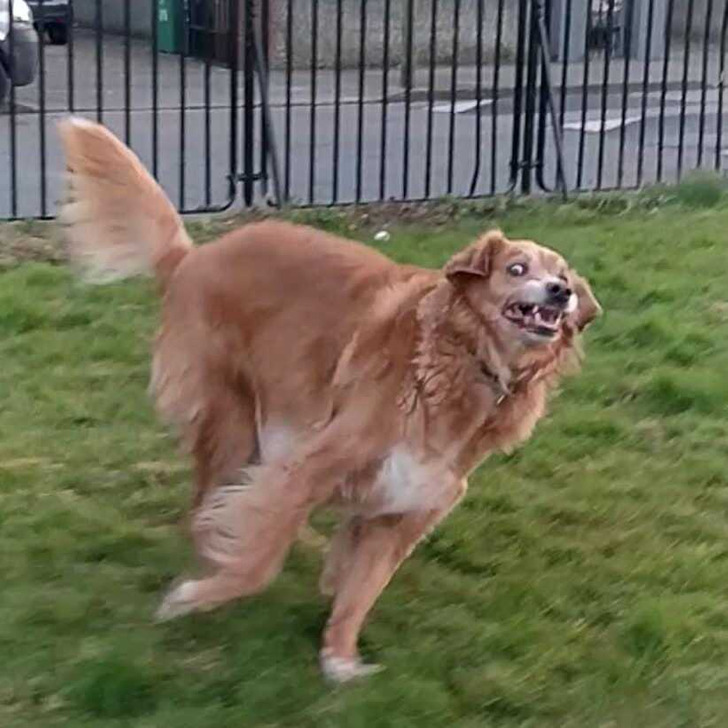 1c6dd3583988eece125528cb82