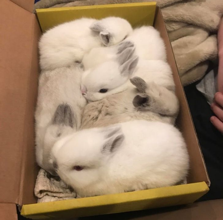 1c708a5eb0ba4bd6bcd25a9ae6