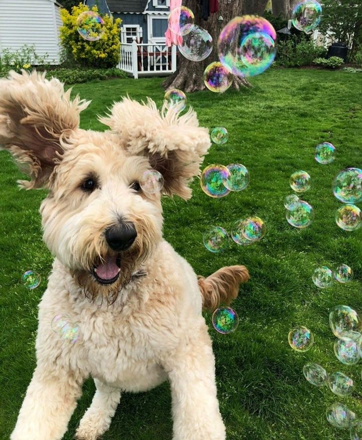 1c754e570e8c4e04eb600fe3eb