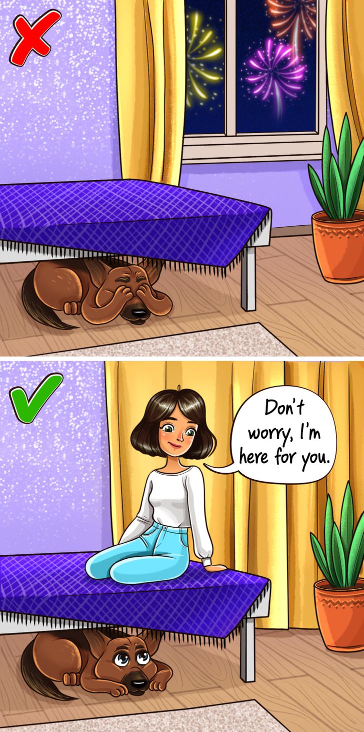 1c764b595c9cb79ebc209943ca