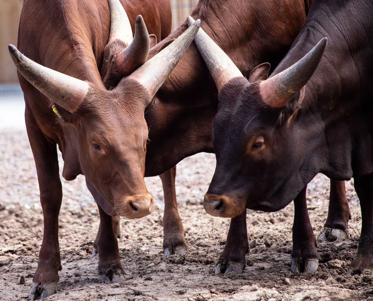 1c82ef5c4ea1c82e8e75292018