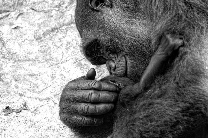 1c82fa525fae6a4e95fdc23d2c