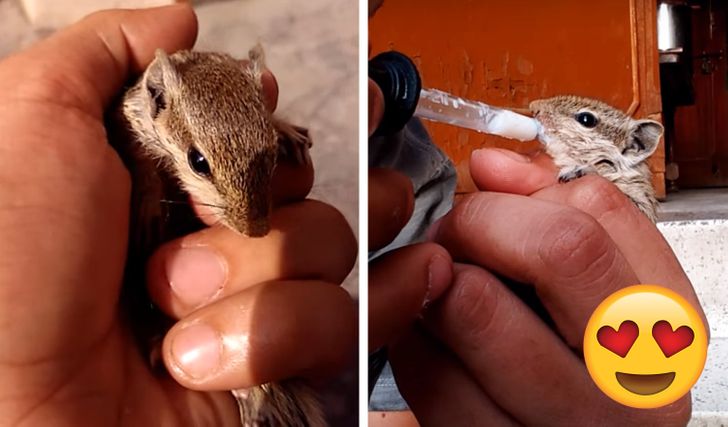 1c862c5058884ad7eb93f2f54d