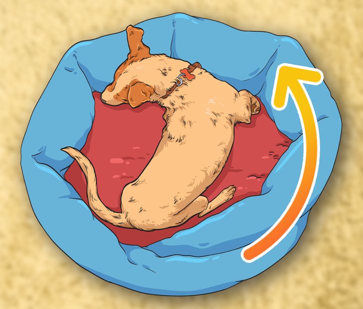 1c8f225b5fba748f99e9277a37 1c8f225b5fba748f99e9277a37