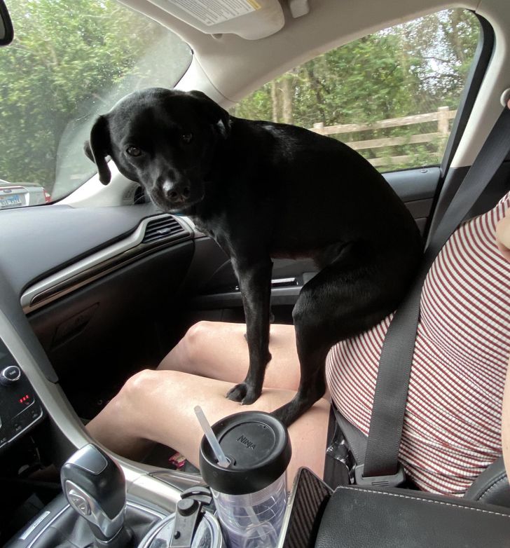 1c93195ce691b54b831d96cfc6