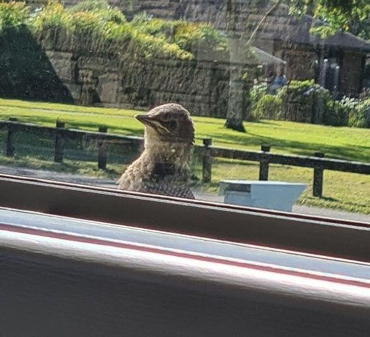 1c9745592bb1c30caf9445d207