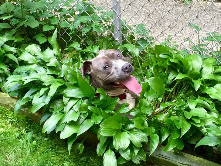 1c9fc95039bcaad1cec08cb258