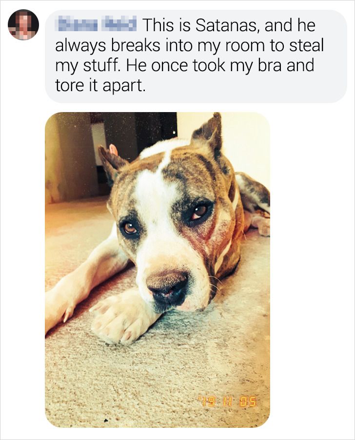 1ca6105bd994efe3faaf2dab76