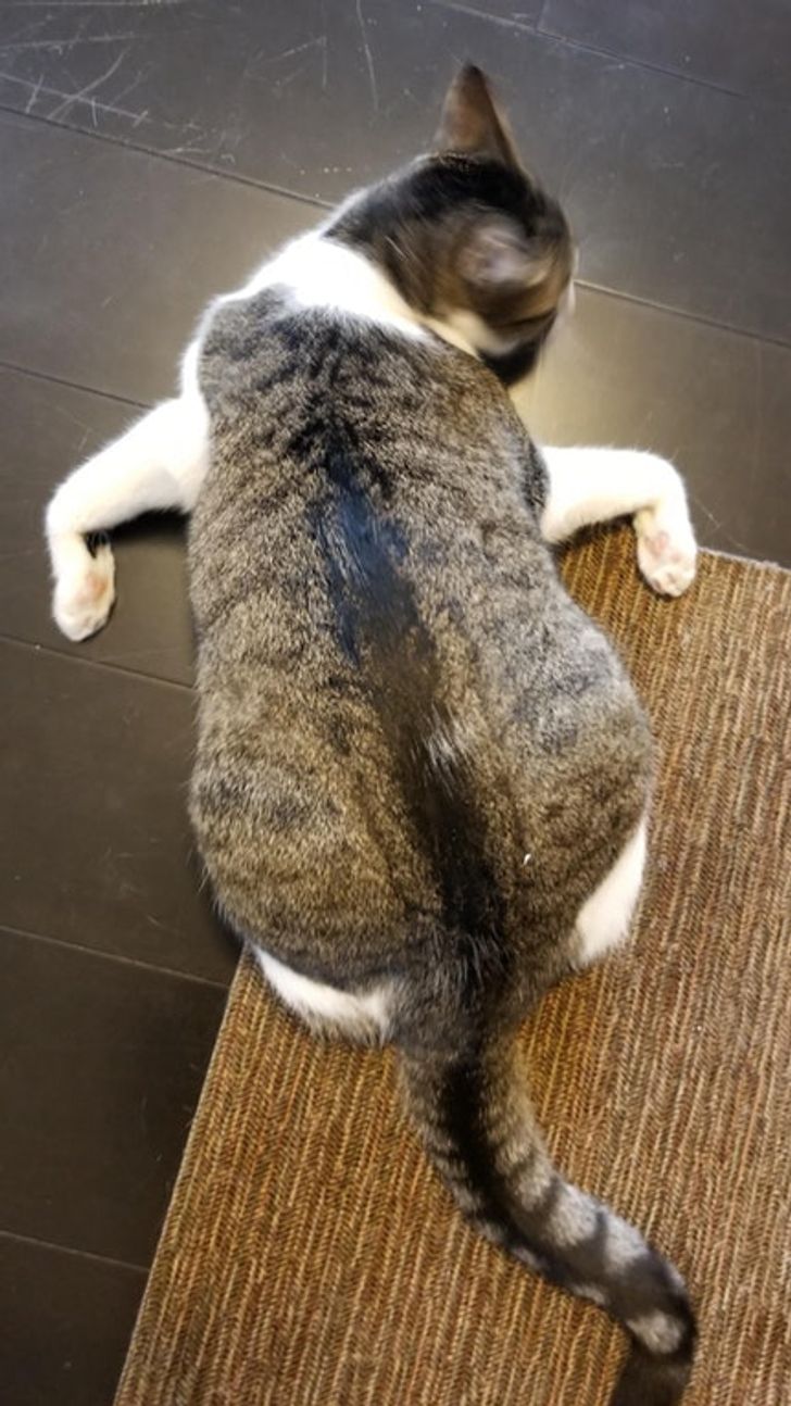 1ca8925782ac68cd7638421a77