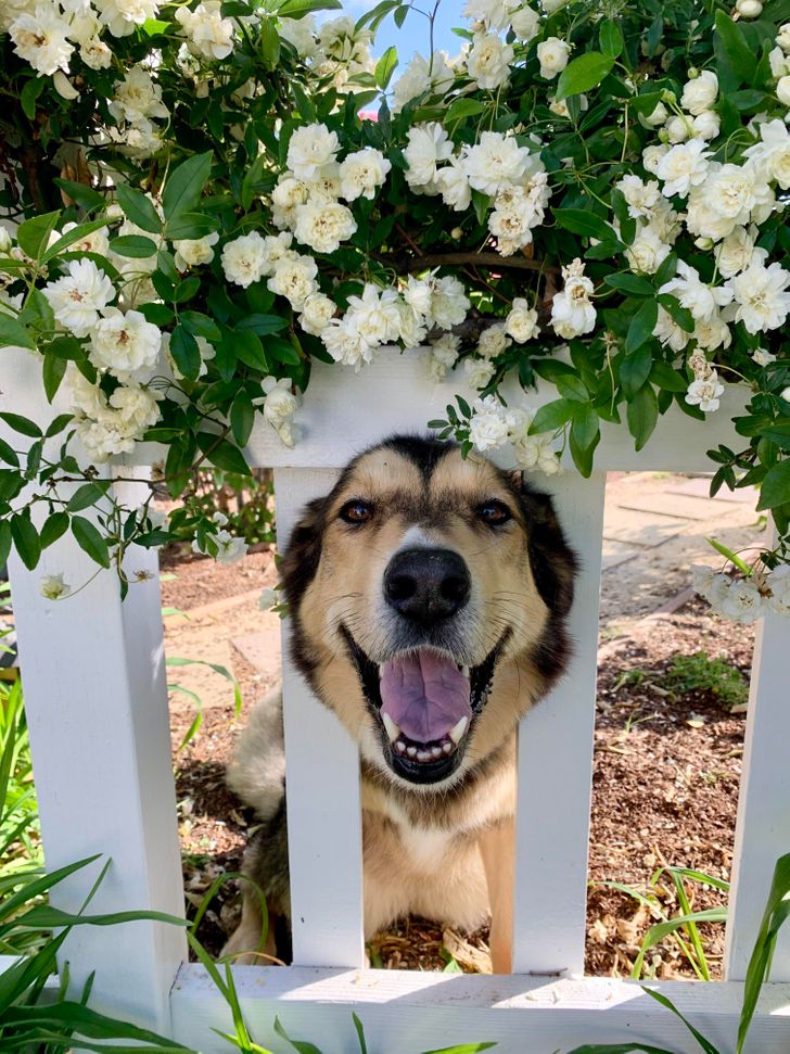 1caa98556ebffb061777abe8b9