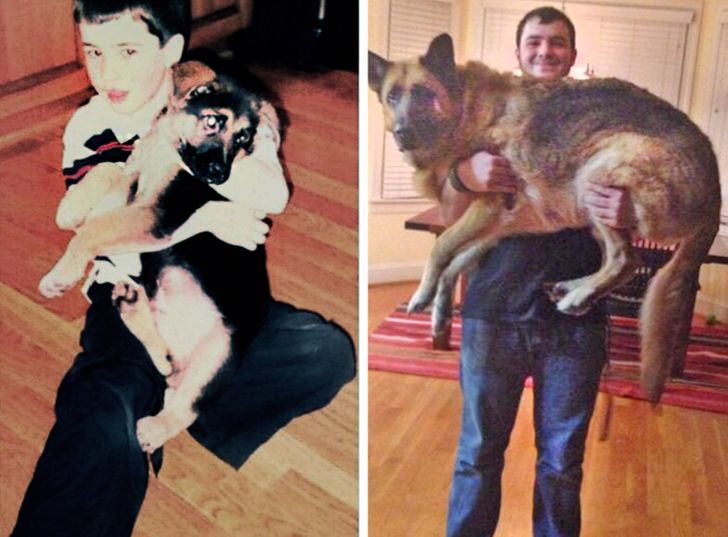 1cac10597cab29886b96bc09ab