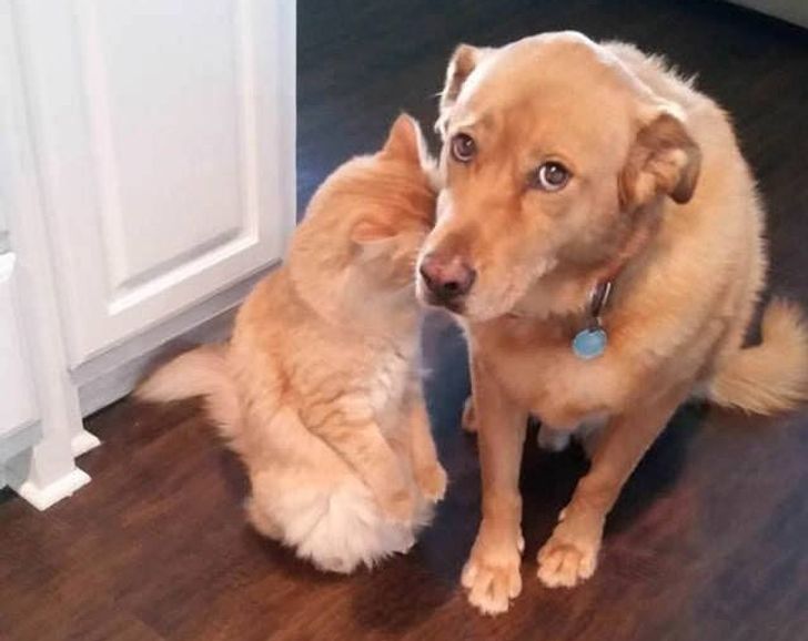 1cad395fffaa8406c87564a9ea