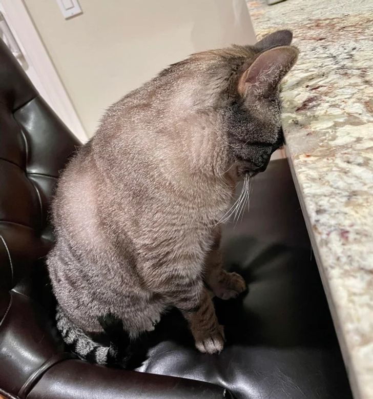 1caf795d0092861b7199e5d451